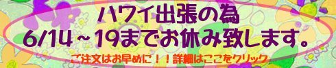 画像: 2012/6/14～19までの6日間買い付け出張の為お休みです。